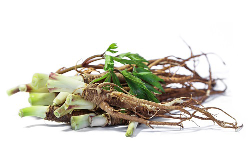 adaptogens, tonics