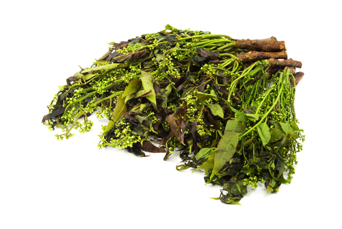Neem