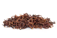 Cat's-Claw - Uncaria tomentosa